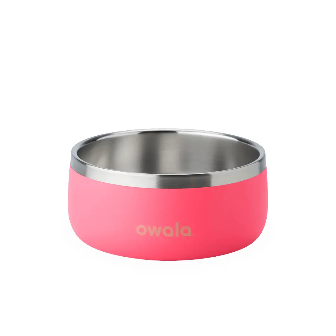 Pet Bowl - Hyper Flamingo - 3 cups