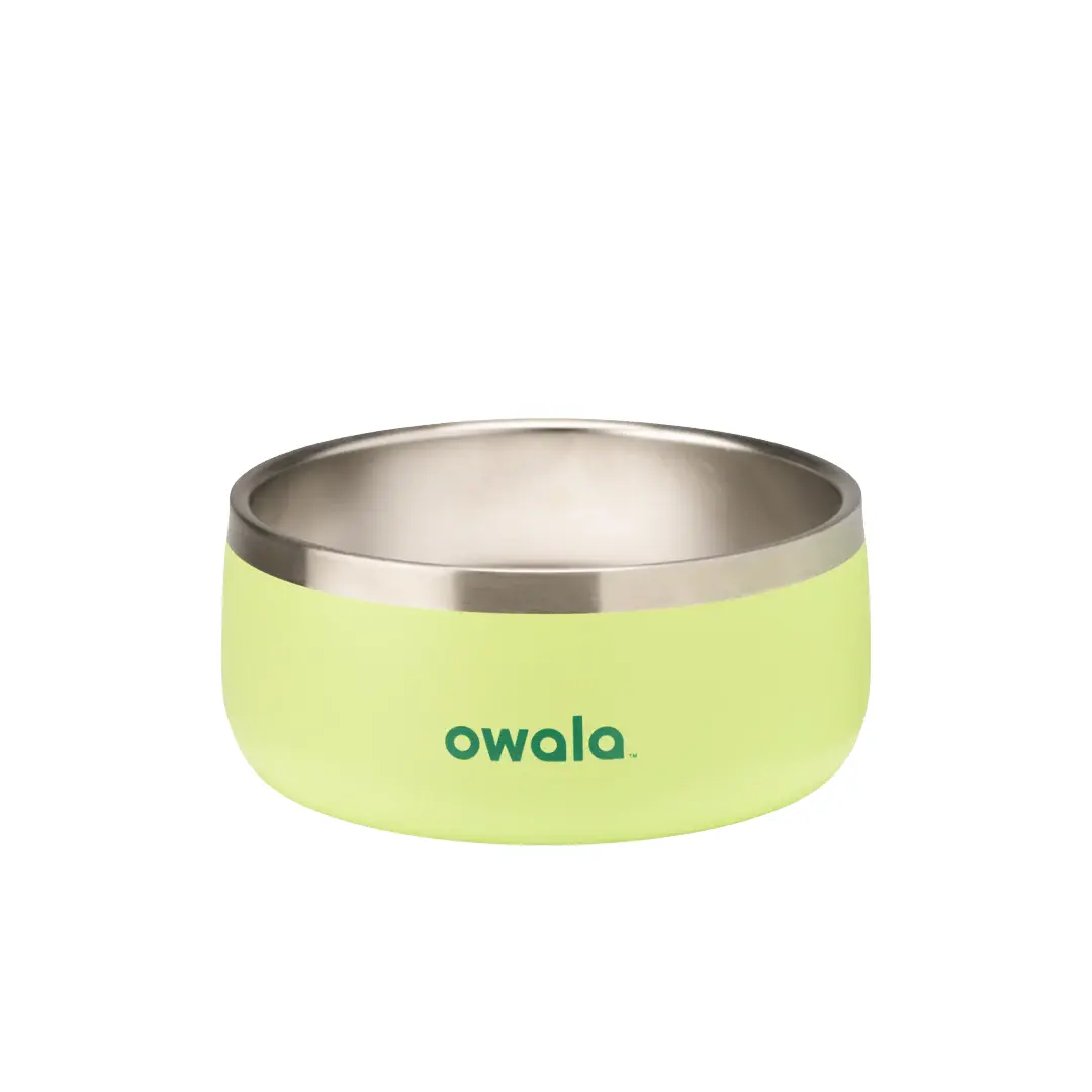 Pet Bowl - Sweet Treat - 3 cups
