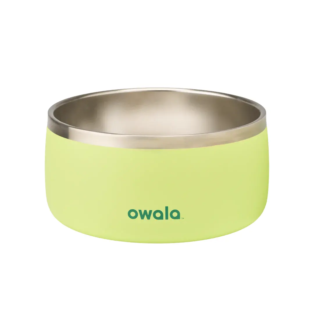 Pet Bowl - Sweet Treat - 6 cups
